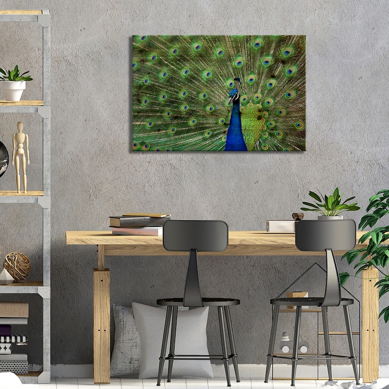Peacock Feathers Print On Wood by Unknown Artist - Multi-Color