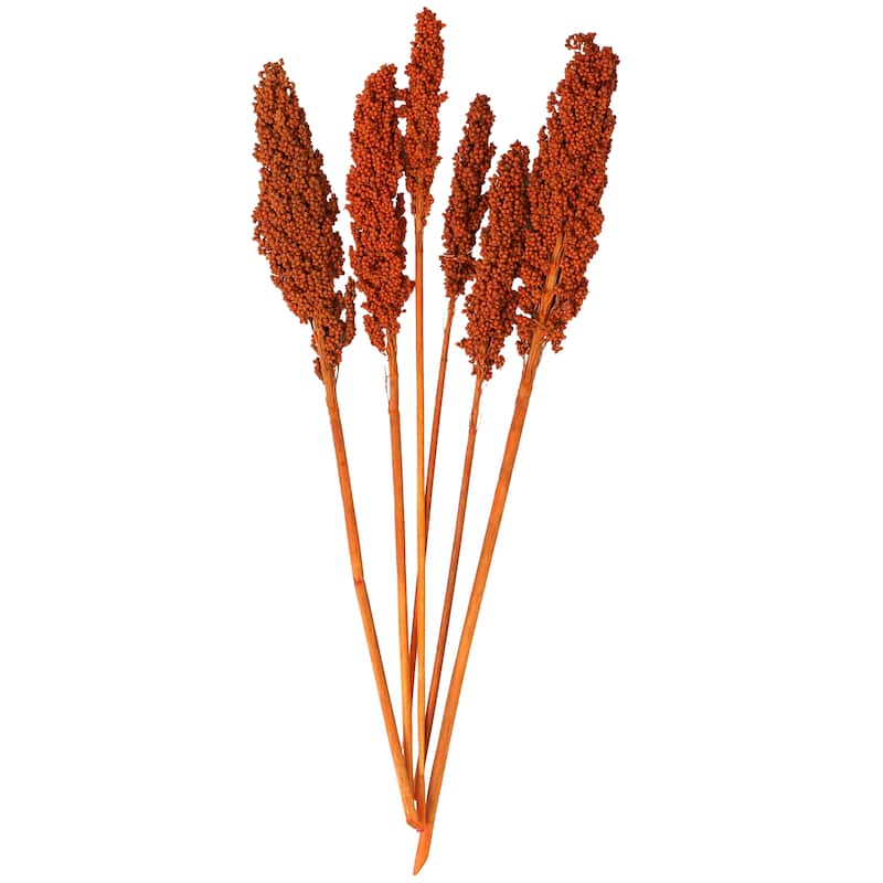 Orange Dried Plant Corn Maze Home Decor Natural Foliage with Long Stems