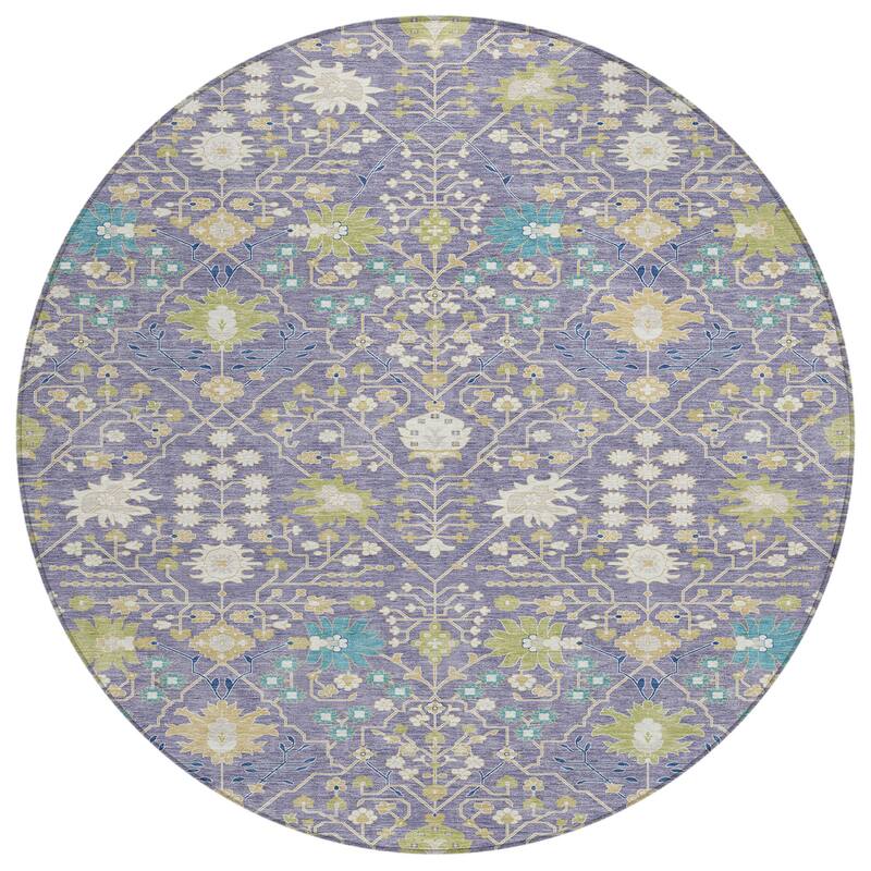 Machine Washable Indoor/ Outdoor Global Traditional Chantille Rug