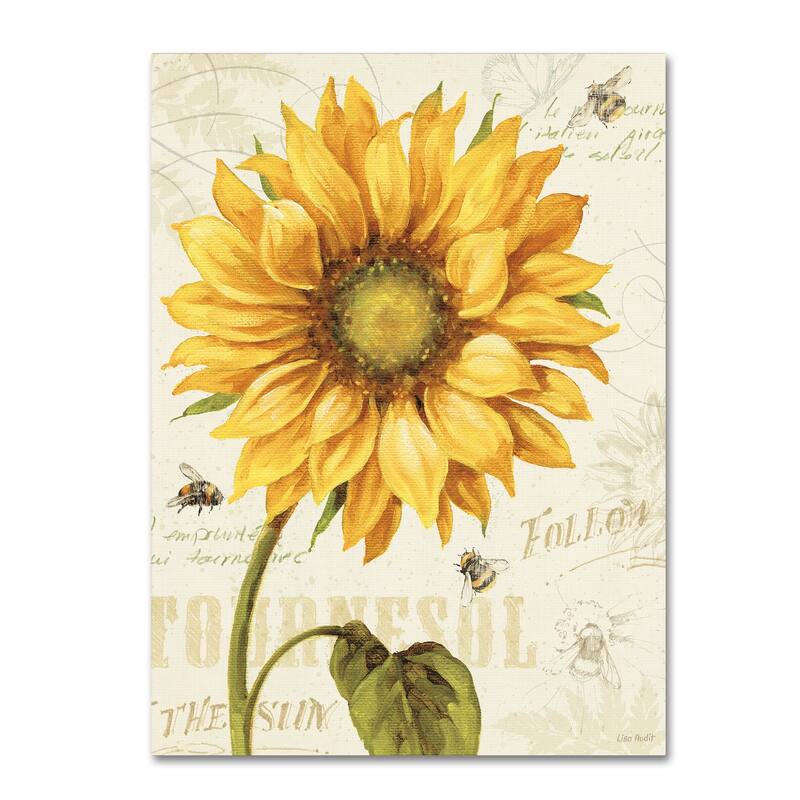 Lisa Audit 'Under the Sun I' Canvas Art