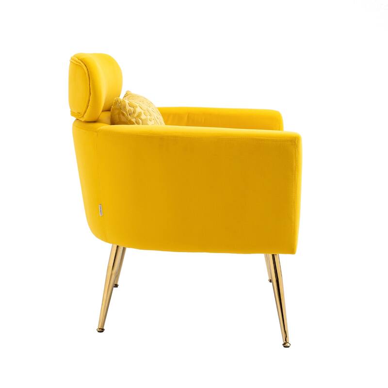 Velvet Upholstered Accent Chair With A Pillow