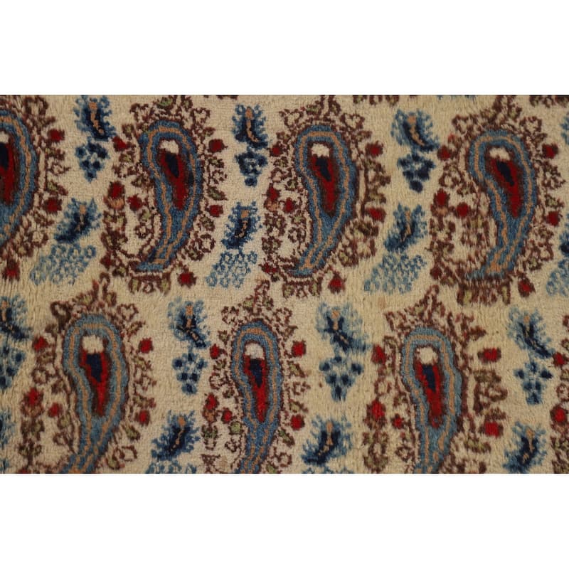 Paisley Mood Persian Vintage Area Rug Hand-Knotted Wool Carpet - 6'9"x 10'7"