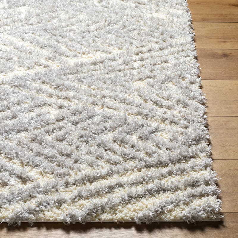 Chambers Shag Area Rug