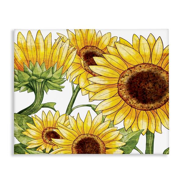 Stupell Rustic Bloom Sunflowers Canvas Wall Art Design by Kim Allen ...