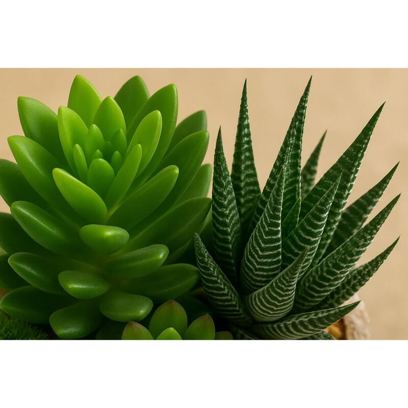 HomeStock Aloe and Succulents in Weathered Oak Look Cement Planter - Lush Faux Greens for Rustic Accents - 8