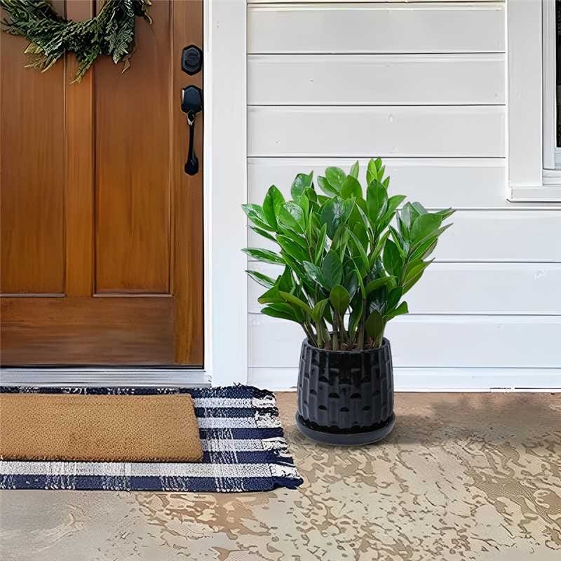 2 Pack Succulent Pots, 6" & 8" Mini Ceramic Plant Pots for Flower or Cactus Plants