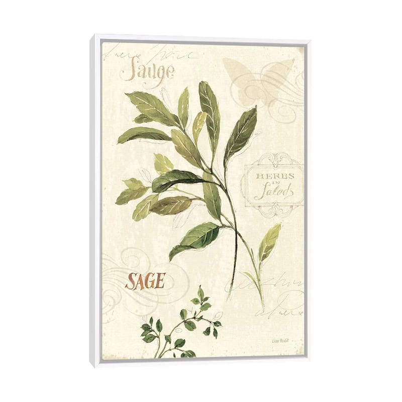 iCanvas "Aromatique IV" by Lisa Audit Framed Canvas Print - White - 40x26