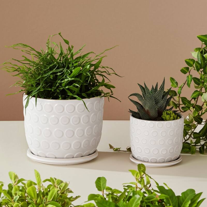 Ceramic Circular Saucer Planters Set of 2 - 6/8 in.