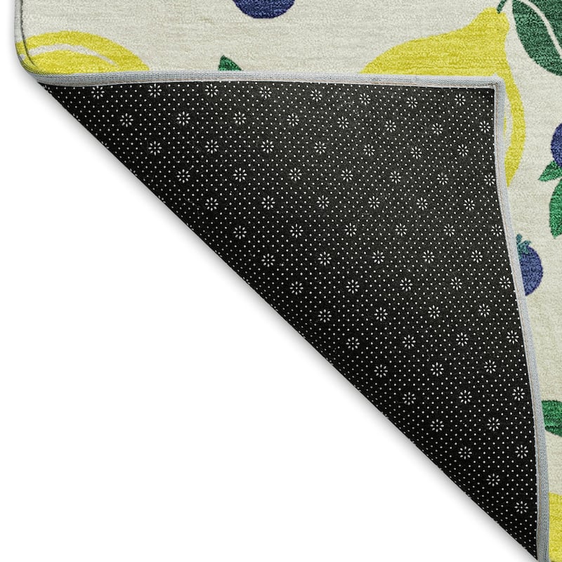 Machine Washable Indoor/ Outdoor Citrus Berry Chantille Rug
