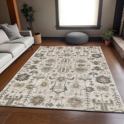 Premium Washable Super Soft Traditional Global Mayfield Rug
