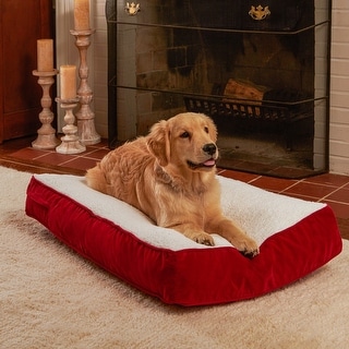 Bed bath and deals beyond pet beds