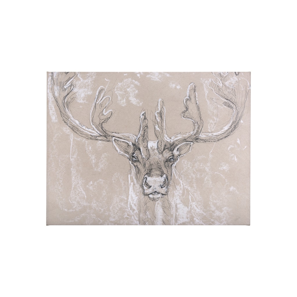 Sketch of Animal II (Caribou) (40 x 30) Canvas Art Print