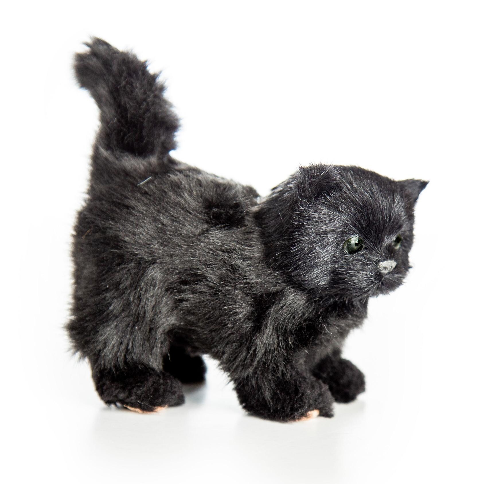 american girl black cat