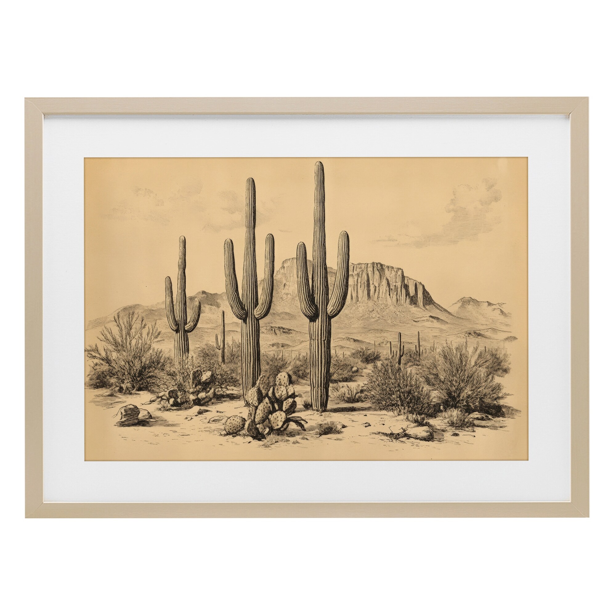 Stupell Cactus Desert Vintage Landscape Under Glass Framed Design By Petal Prints Design