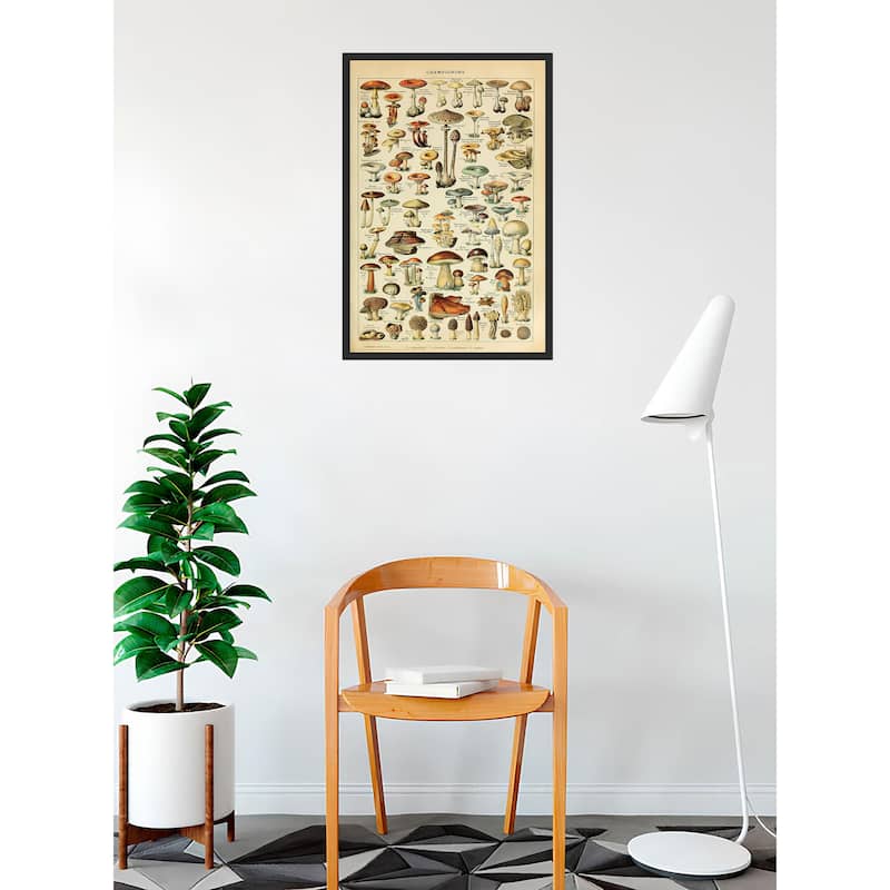 Champignons Pour Tous Adolphe Millot Framed Art Poster - 24 x 36 Inch
