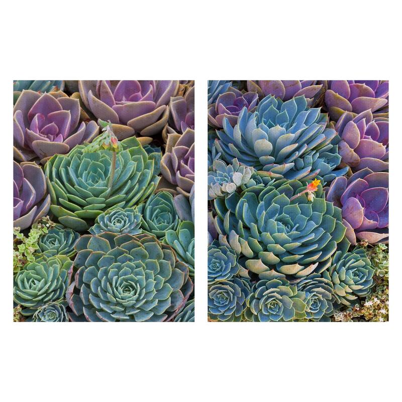 Succulent Gemstones III, IV by Robin Constable Hanson Canvas Art Prints