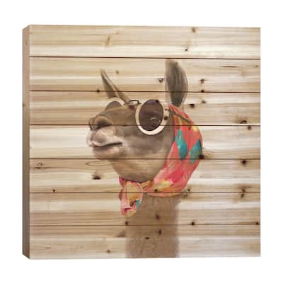 Fashion Llama Print On Wood by Paul Fuentes - Multi-Color