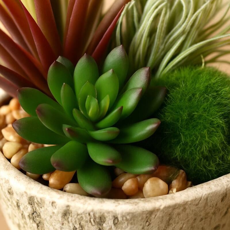 HomeStock Easter Grass and Succulents in Weathered Oak Look Cement Planter - Spring-Inspired Faux Arrangement - 9