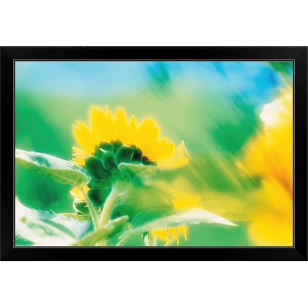 "Soft focus of yellow flower" Black Framed Print