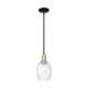 Option Black Antique Brass / Clear