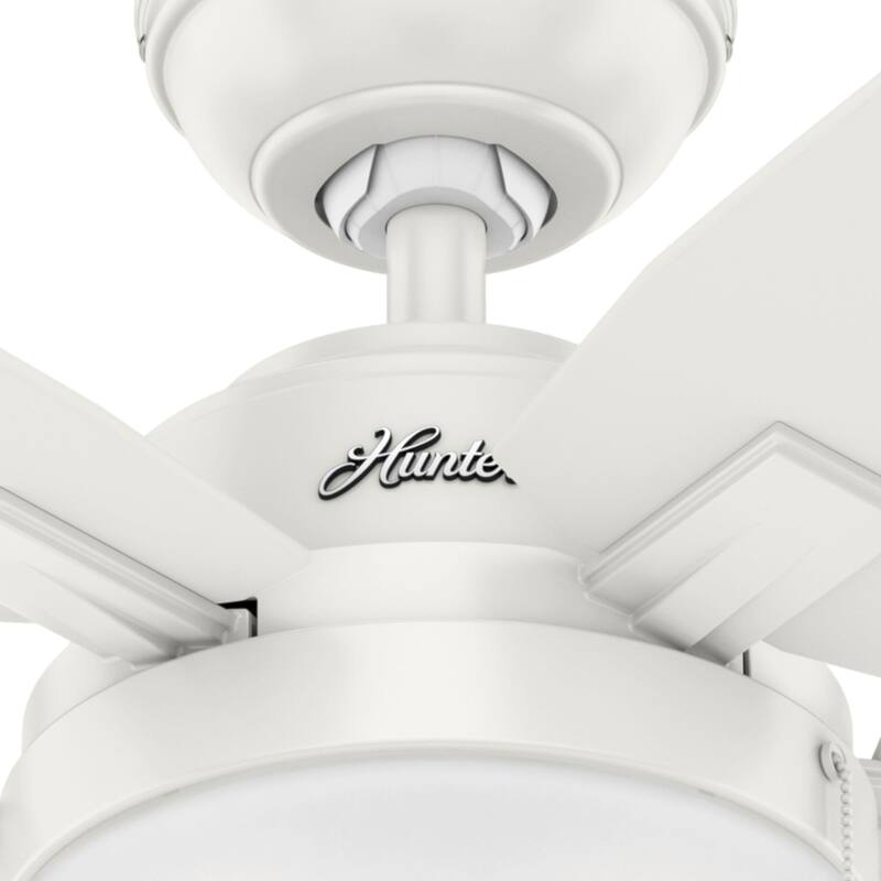 Hunter Morgantown Ceiling Fan with LED Light, Pull Chain - Transitional, Contemporary