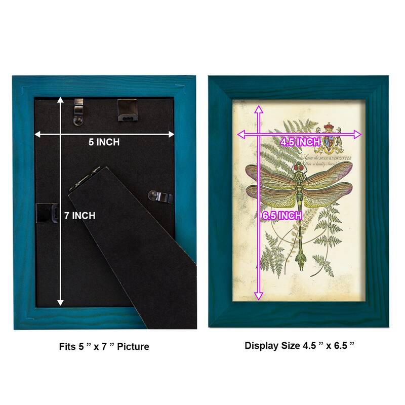 Regal Dragonfly III (PP) -Framed Print w/glass-Cherry Red