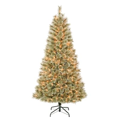 National Tree Company 6 ft. Arcadia Pine Tree with Clear Lights - 6 Foot