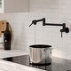 preview thumbnail 7 of 19, STYLISH Asti Two Handles Wall Mount with Single Hole Pot Filler