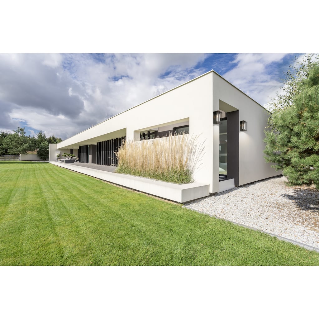 Shimik Oil Rubbed Bronze Outdoor Wall Light by Havenside Home