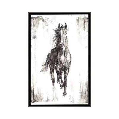 iCanvas "Rustic Black Stallion I" by Ethan Harper Framed