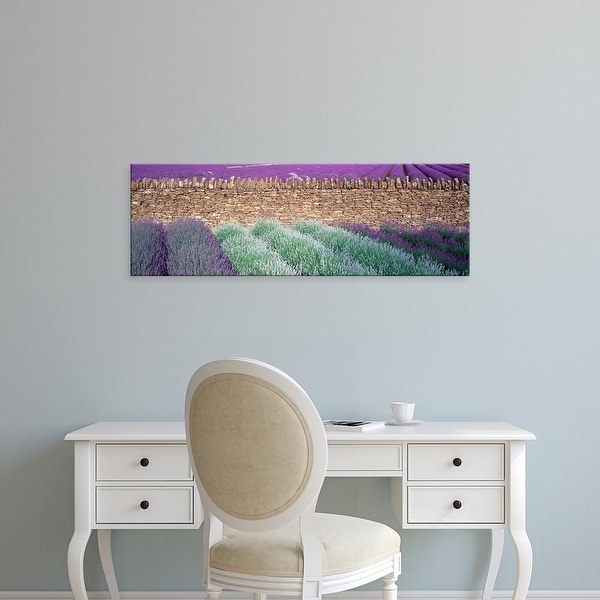 Easy Art Prints Panoramic Images's 'Lavender growing beside dry