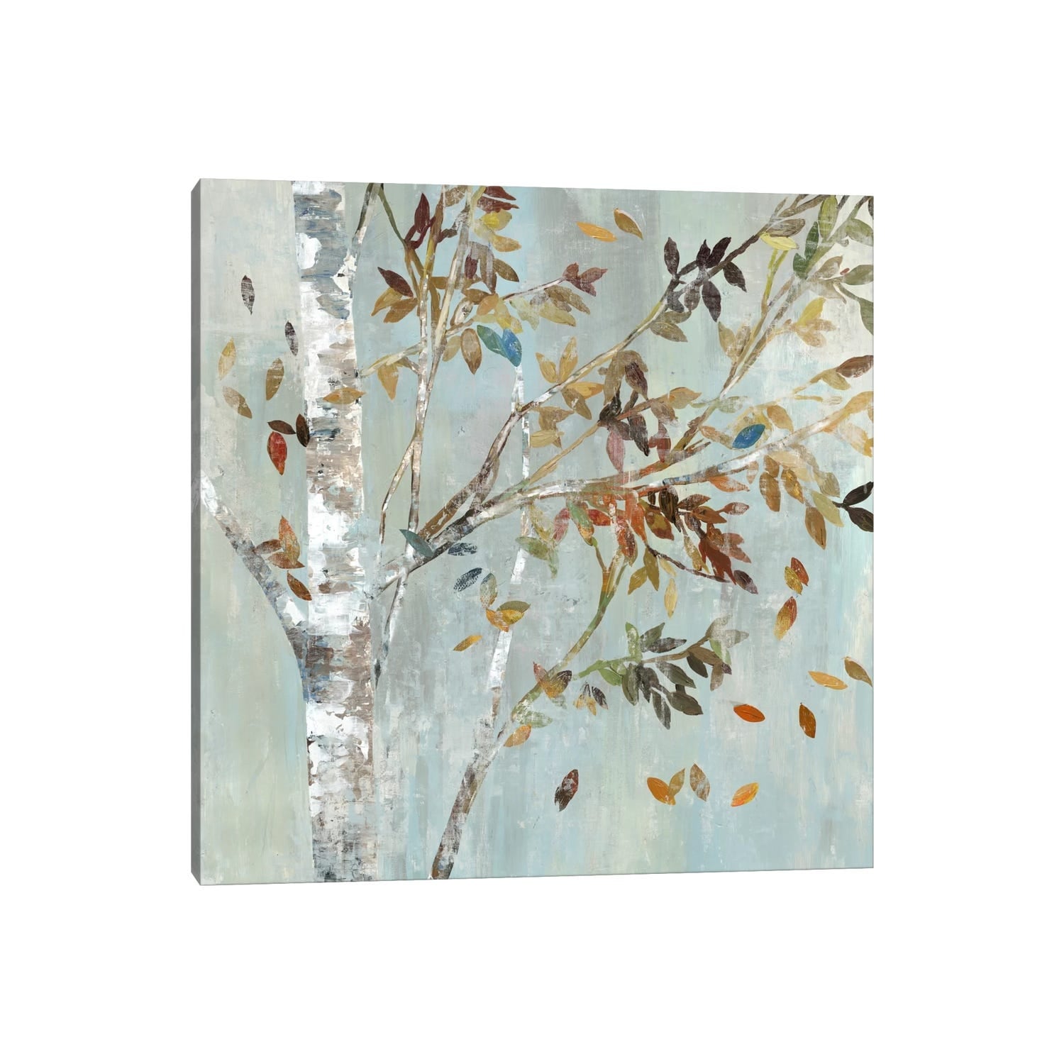iCanvas "Birch With Leaves I" by Allison Pearce Canvas Print