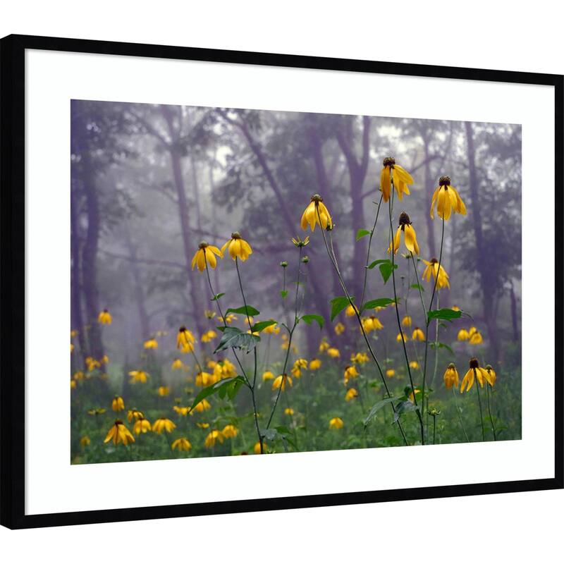 Coneflower by Kelly Sinclair Wood Framed Wall Art Print