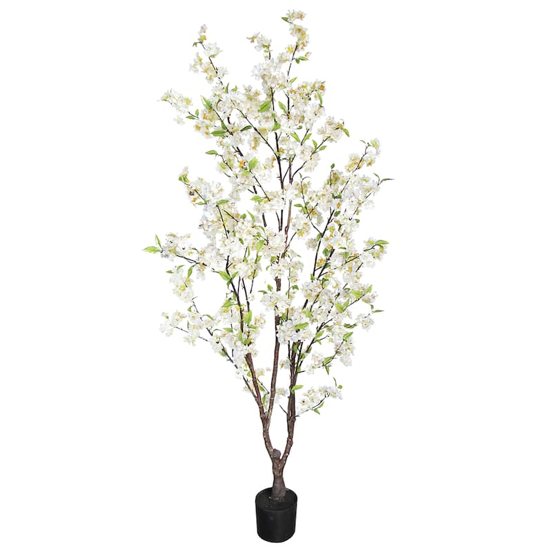 5.5ft Cream White Artificial Cherry Blossom Flower Tree Plant in Black Pot - 66" H x 34" W x 32" DP