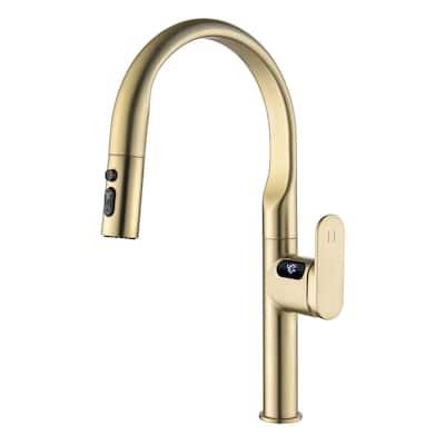 Single Handle Kitchen Sink Faucet with Pull Down Sprayer Brass Pull Out Kitchen Vanity Faucets with Temperature Display