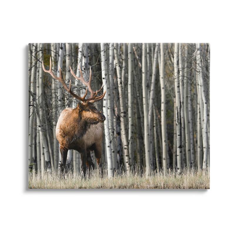 Stupell Elk Looming Out Birch Trees Animal Forest Photograph Canvas Wall Art - Grey - 40 x 30