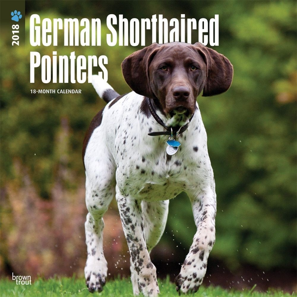 Shop Pointers German Shorthaired Wall Calendar German Shorthaired