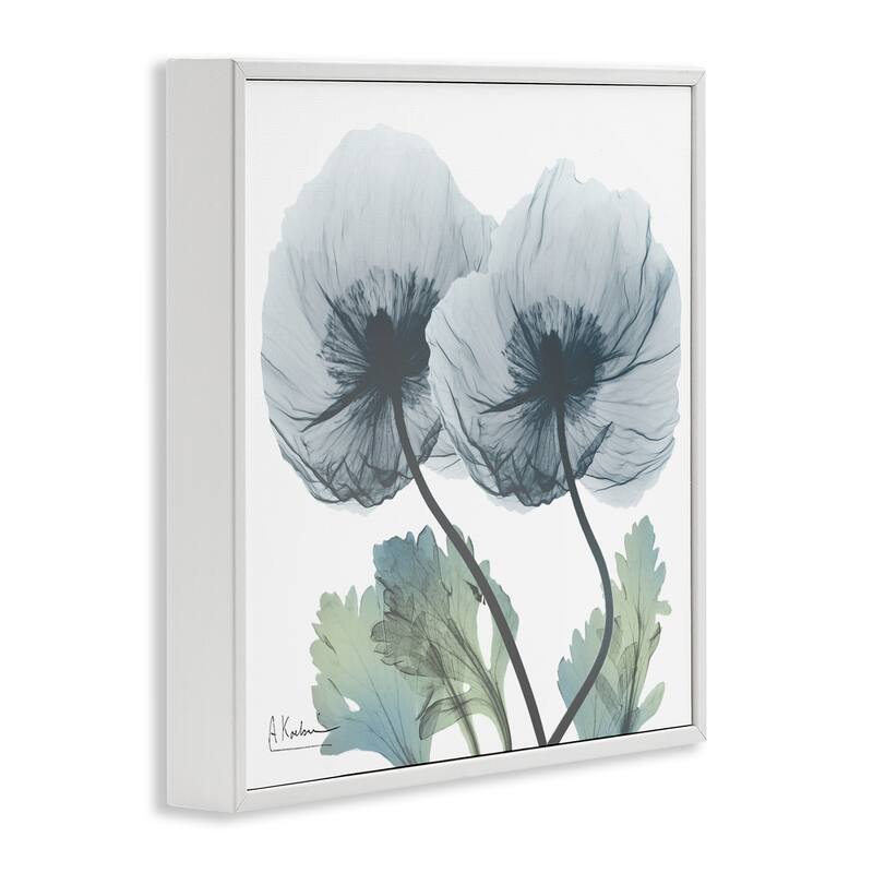 Stupell Double Modern Flower Blossoms Framed Giclee Art Design By Albert Koetsier