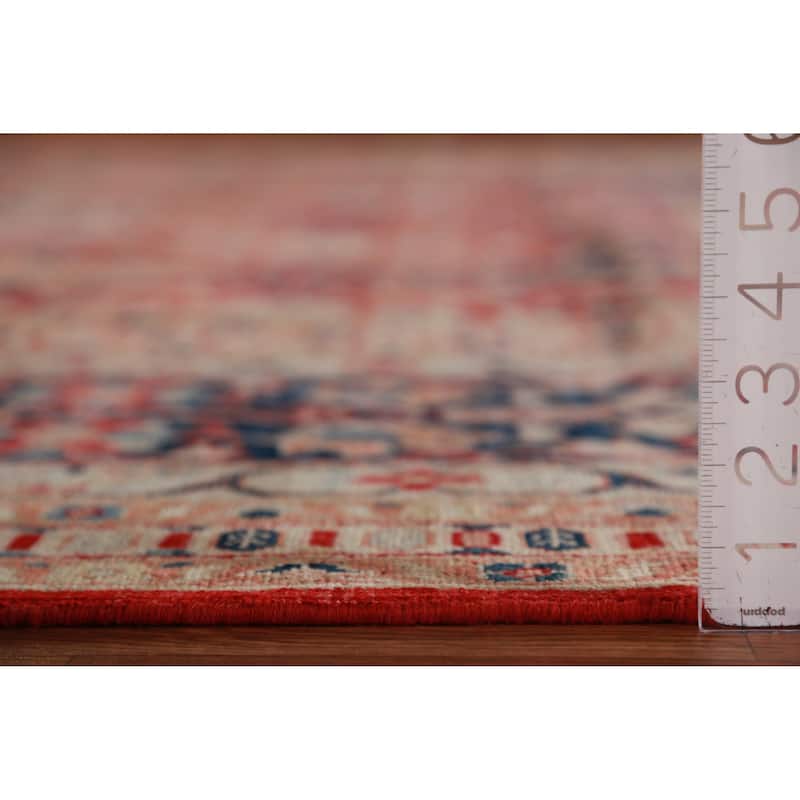 Vegetable Dye Ziegler Rug Handmade Traditional Wool Carpet - 9'0"x 12'2"