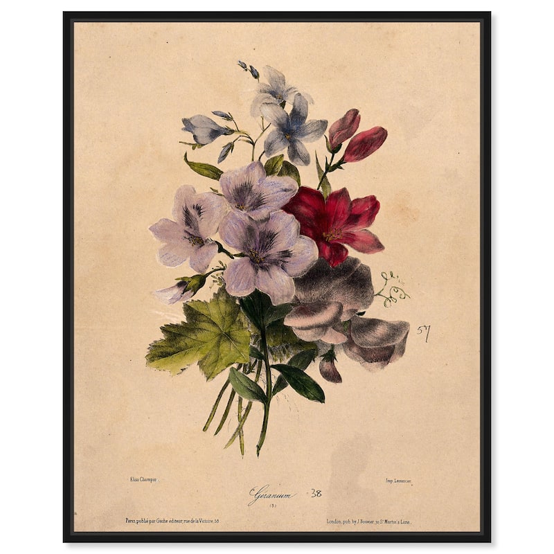 Elisa's Blooms Canvas by Art Remedy - Black - 30" x 36"