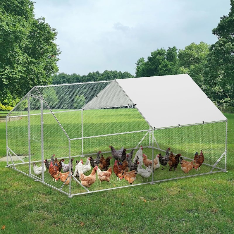 Large Metal Chicken Coop, Walk-in Poultry Hen House, for Chickens, Ducks - 9.8×13.1×6.6 FT