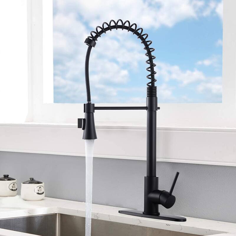 DORNBERG Spring High Arc Kitchen Faucet with Deck Plate