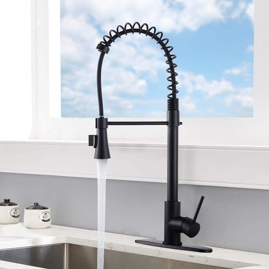 DORNBERG Spring High Arc Kitchen Faucet with Deck Plate