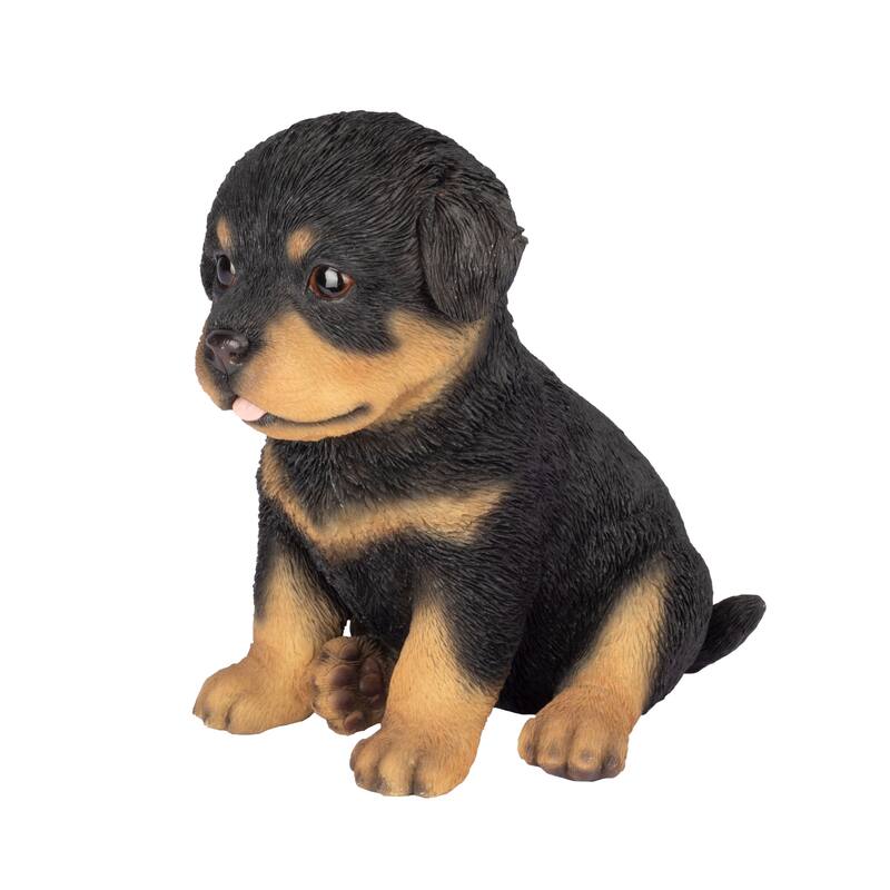 Sitting Rottweiler Puppy Outdoor Garden Statue - 6.25" - Black and Brown
