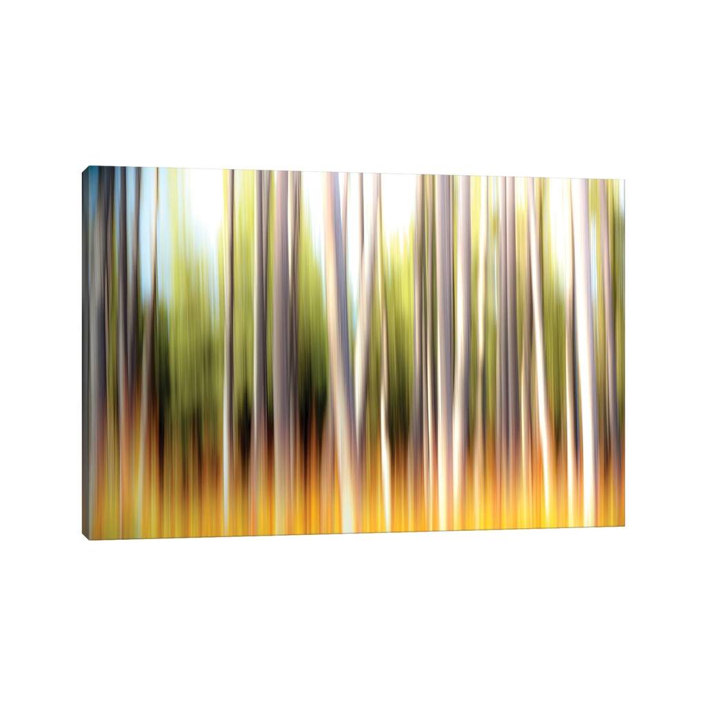 iCanvas "Prairie Fire Grass" by Nik Rave Canvas Print