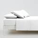 Option White