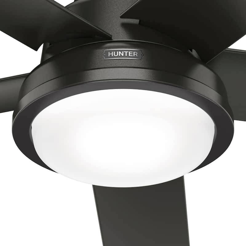 Hunter 52" Seawall Outdoor Ceiling Fan with LED Light Kit, Wall Control - Wet Rated!