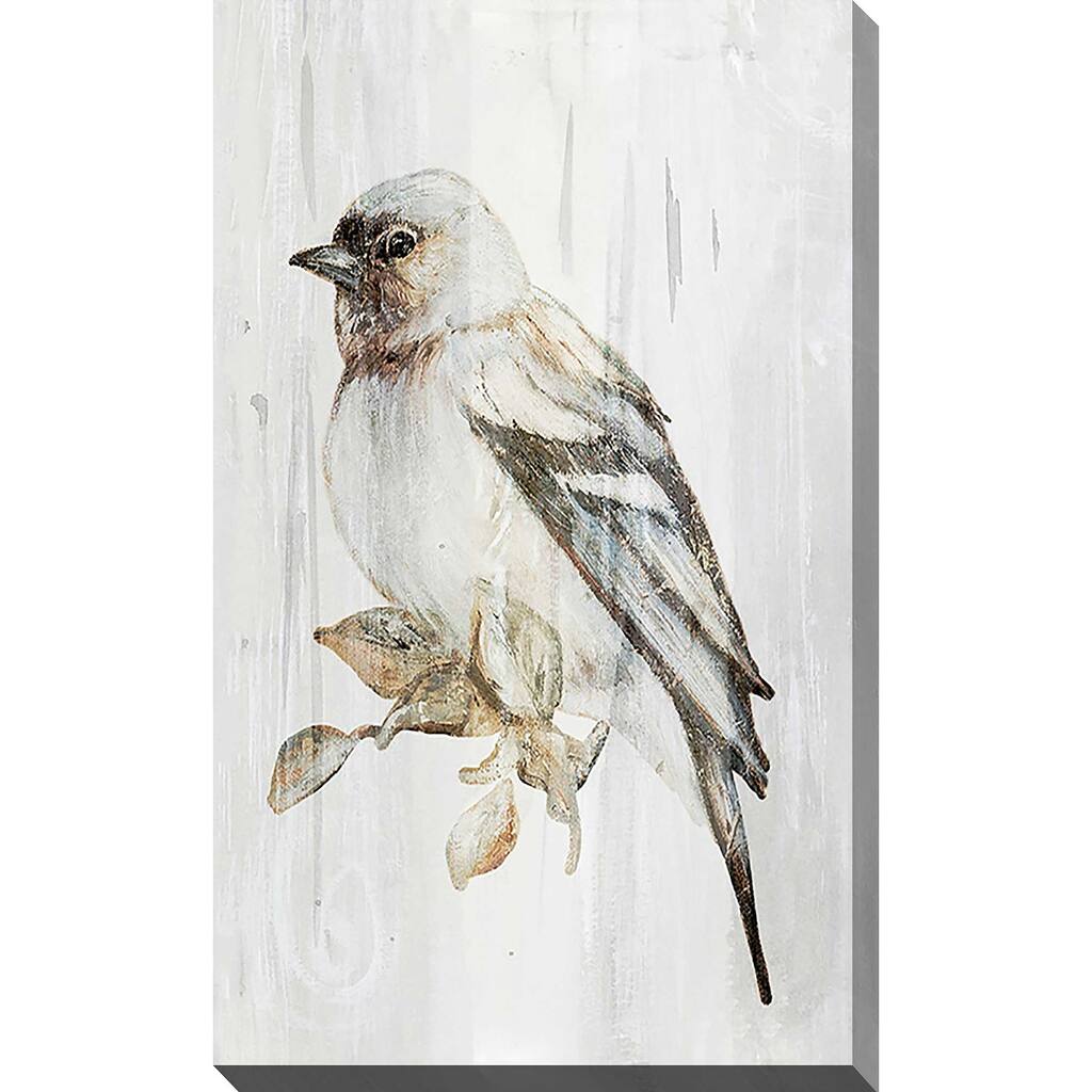 "Eco Bird on Wood I" Print on Canvas