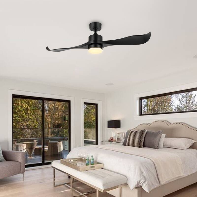WINGBO 52 inch 2 Blades Modern Ceiling Fan with Lights and Remote - N/A - Black