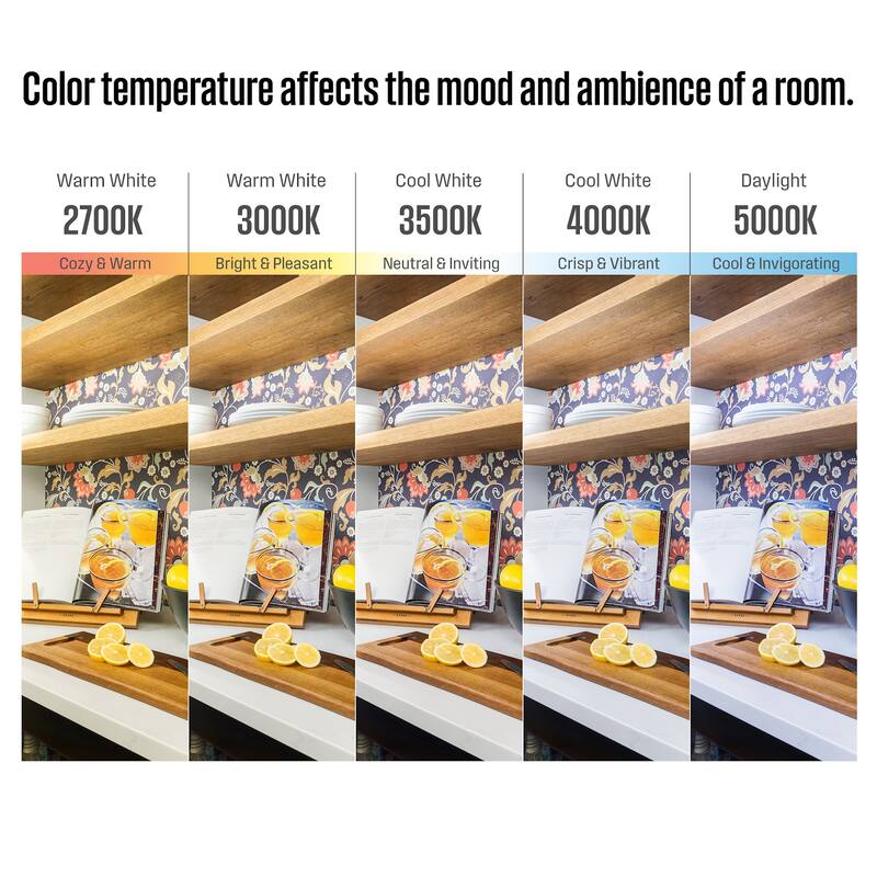 Westinghouse 6136600 Lauderdale 12" Wide LED Semi-Flush Bowl Ceiling